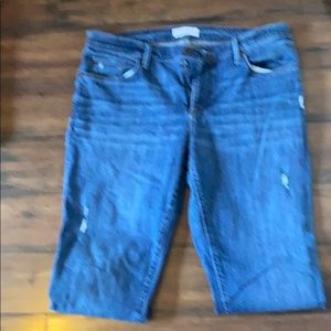 Ann Taylor Loft Jeans